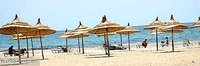 突尼斯最好的海滩|太阳，沙子和薄荷茶