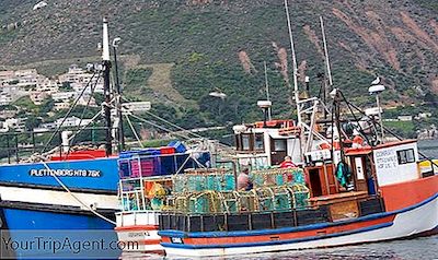 Nejlepší Ryby A Čipy Spoty V Kapském Městě