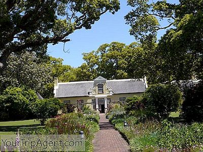 I Vigneti Più Strabilianti Di Cape Town Per La Degustazione Di Vini