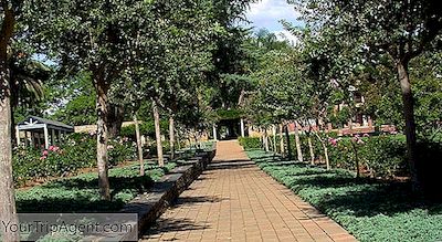 Die Schonsten Parks Und Garten In Pretoria 2020