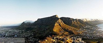 Os 10 Melhores Destaques Do Parque Nacional Table Mountain