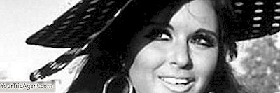 Wie Was 'De Assepoester' Van De Egyptische Cinema?