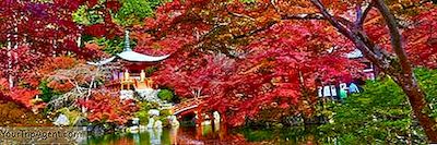 Los 10 Mejores Hoteles Culturales En Kyoto, Japón