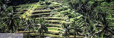 10 Restoran Terbaik Di Bali, Indonesia
