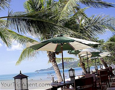 De 10 Beste Restaurantene I Koh Samui