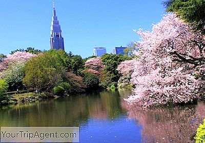 10 Taman Terindah Di Tokyo