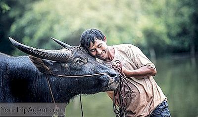 11 Alasan Mengapa Anda 'Fall In Love Dengan Orang Di Laos
