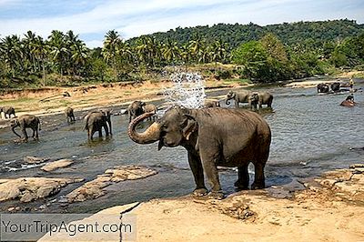 12 Tempat Paling Cantik Di Sri Lanka