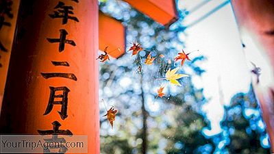 13 Motive Pentru A Vizita Kyoto, Japonia