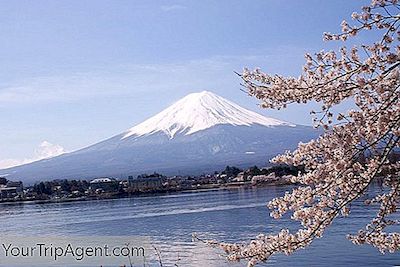 5 Hari Perjalanan Terbaik Untuk Mengambil Dari Tokyo
