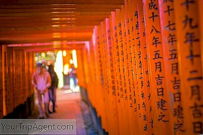 Fushimi Inari Taisha Er Kyotos Mest Berømte Og Vigtige Shinto-Helligdommen Og Et Must Se Destination I Japan.
