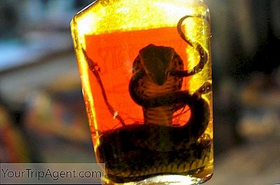 Breve Introduzione Al Vino Serpente