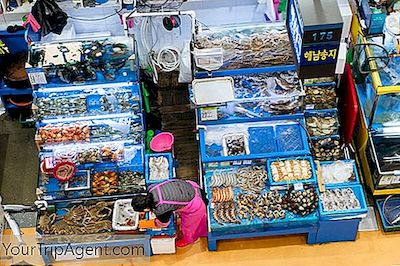 En Komplett Guide Till Seuls Noryangjin Fish Market