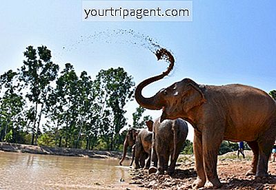 タイの倫理的な動物保護区では、訪れることについて気分が良い