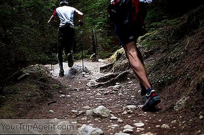 Un Ghid Al Iubitorilor De Fitness La Seoul