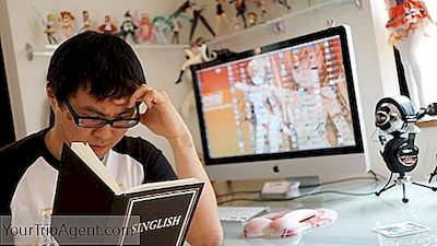 Guide Sur Les Langues De Singapour