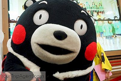 Kumamon กลายเป็นความรู้สึกแห่งชาติในประเทศญี่ปุ่น