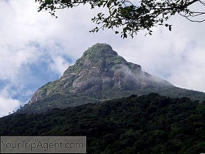 Aufstieg Zum Adam'S Peak In Sri Lanka