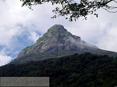 Cara Mendaki Puncak Adam Di Sri Lanka