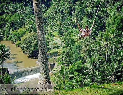 Cara Mengendarai Ayunan Ubud Di Zen Hideaway