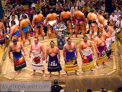 Japans 12 Mest Berømte Sumo Wrestlers
