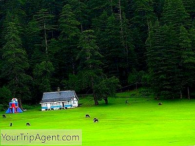 Os Lugares Mais Bonitos Para Amantes Da Natureza Na Índia