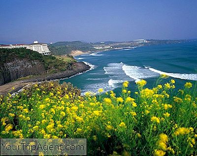 Cele Mai Frumoase Orașe De Coastă Din Coreea De Sud