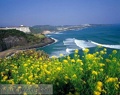 Kota-Kota Pesisir Terindah Korea Selatan