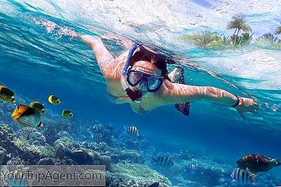 Questi Sono I Posti Migliori Per Fare Snorkeling In Tailandia