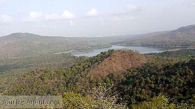 Ting At Vide Om Sanjay Gandhi National Park