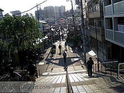 これはなぜ東京の猫の町を訪れる必要があるのですか