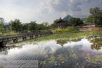 Top 10 Ting At Se Og Gøre I Seoul, Sydkorea