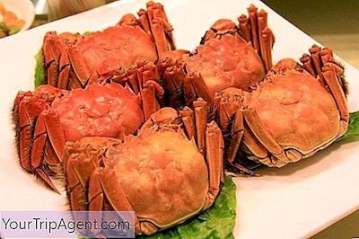 Vad Handlar Det Om Hårig Krabba? En Introduktion Till Den Kinesiska Delikatessen