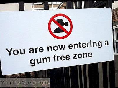 Tại Sao Singapore Banned Chewing Gum