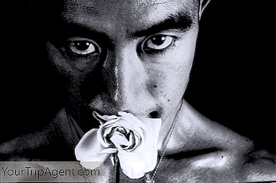 Yukio Mishima: Viața Turbulentă A Unui Mucenic Confruntat