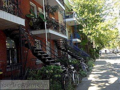 10 Tempat Brunch Terbaik Di Dataran Tinggi Mont-Royal, Quebec