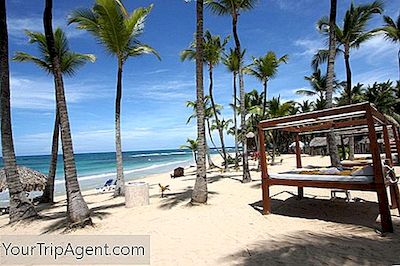 10 Bar Terbaik Di Punta Cana, Republik Dominika