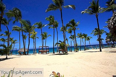 Los 10 Mejores Restaurantes En Punta Cana, República Dominicana