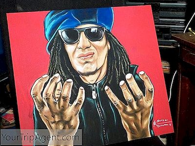 6 Nghệ Sỹ Reggaeton Nổi Tiếng Của Puerto Rico, Bạn Cần Biết