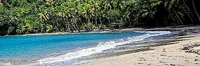 Pláže V Dominice Budete Milovat
