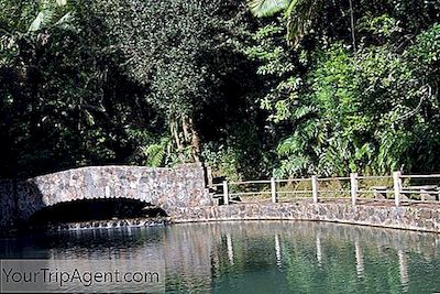 De Beste Wandelroutes In Puerto Rico
