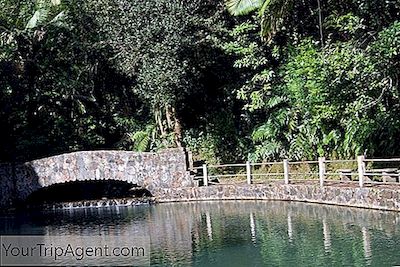 As Melhores Trilhas Para Caminhadas Em Porto Rico