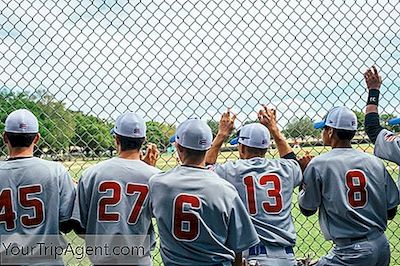 Paras Nouseva Ja Nouseva Puerto Rican Baseball-Soitin Maailmalla On Tarve Tietää
