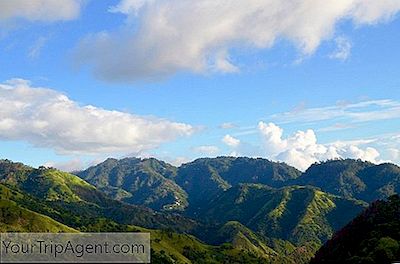 Panduan Untuk Mendaki Blue Mountains Jamaika