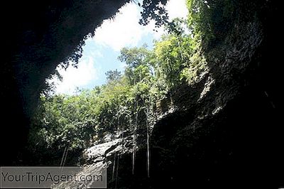Porto Riko'Da Büyülü Mağaralar Keşfedin