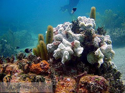 Kauneimmista Paikoista Bahamassa
