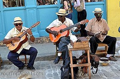 Indica Habitat dinosaurus Musikere Du Behøver At Vide Fra Cuba - 2021
