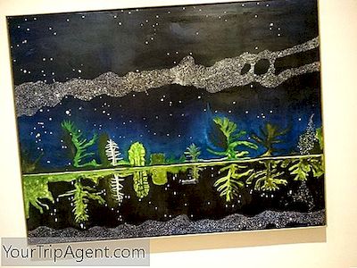 Peter Doig：革命的な風景画