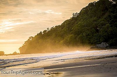 Costa Ricas Mest Fantastiska Karibiska Stränder