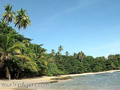 Os 10 Melhores Hotéis Boutique E Resorts Da Costa Caribenha Da Costa Rica